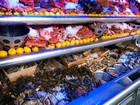 Gallery 1-22