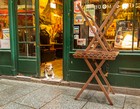 Gallery 1-34
