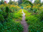 Gallery 1-35