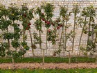 Gallery 1-46