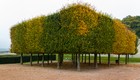 Gallery 1-48