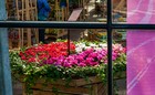 Gallery 1-7