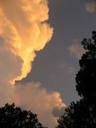 Gallery 1-64