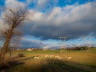 Gallery 1-44