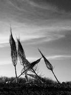 Gallery 1-48