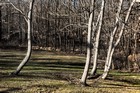 Gallery 1-38