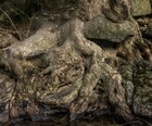Gallery 1-22