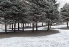 Gallery 1-36