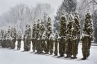 Gallery 1-33