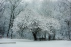 Gallery 1-34