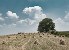 Gallery 1-40