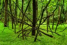 Gallery 1-39