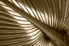 Gallery 1-25