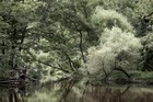 Gallery 1-43