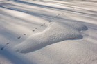 Gallery 1-32