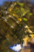 Gallery 1-51