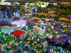 Gallery 1-32