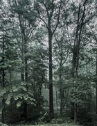 Gallery 1-2