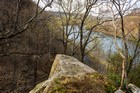 Gallery 1-9