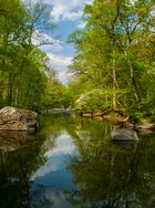 Gallery 1-15