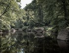 Gallery 1-20