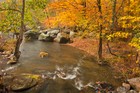 Gallery 1-21