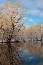 Gallery 1-24