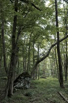 Gallery 1-27