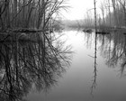 Gallery 1-25