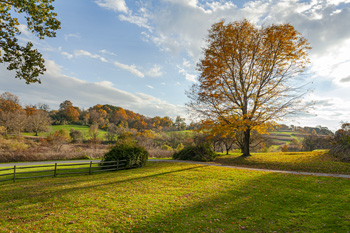 Open Space Image